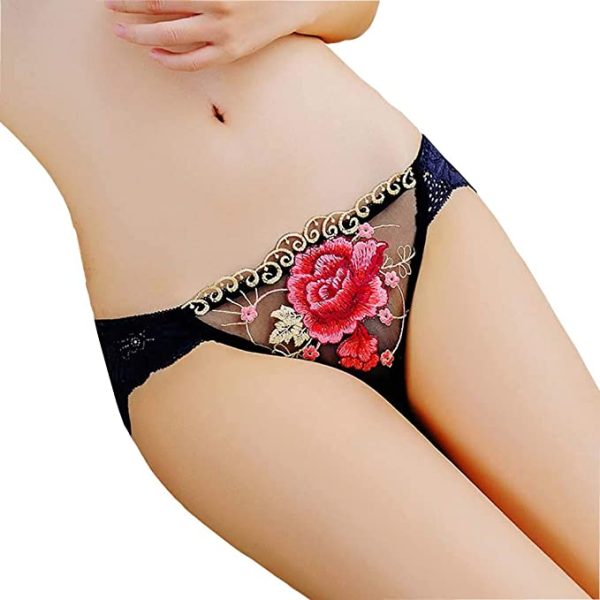 littledesire Lace Transparent Embroidery Sexy Panty